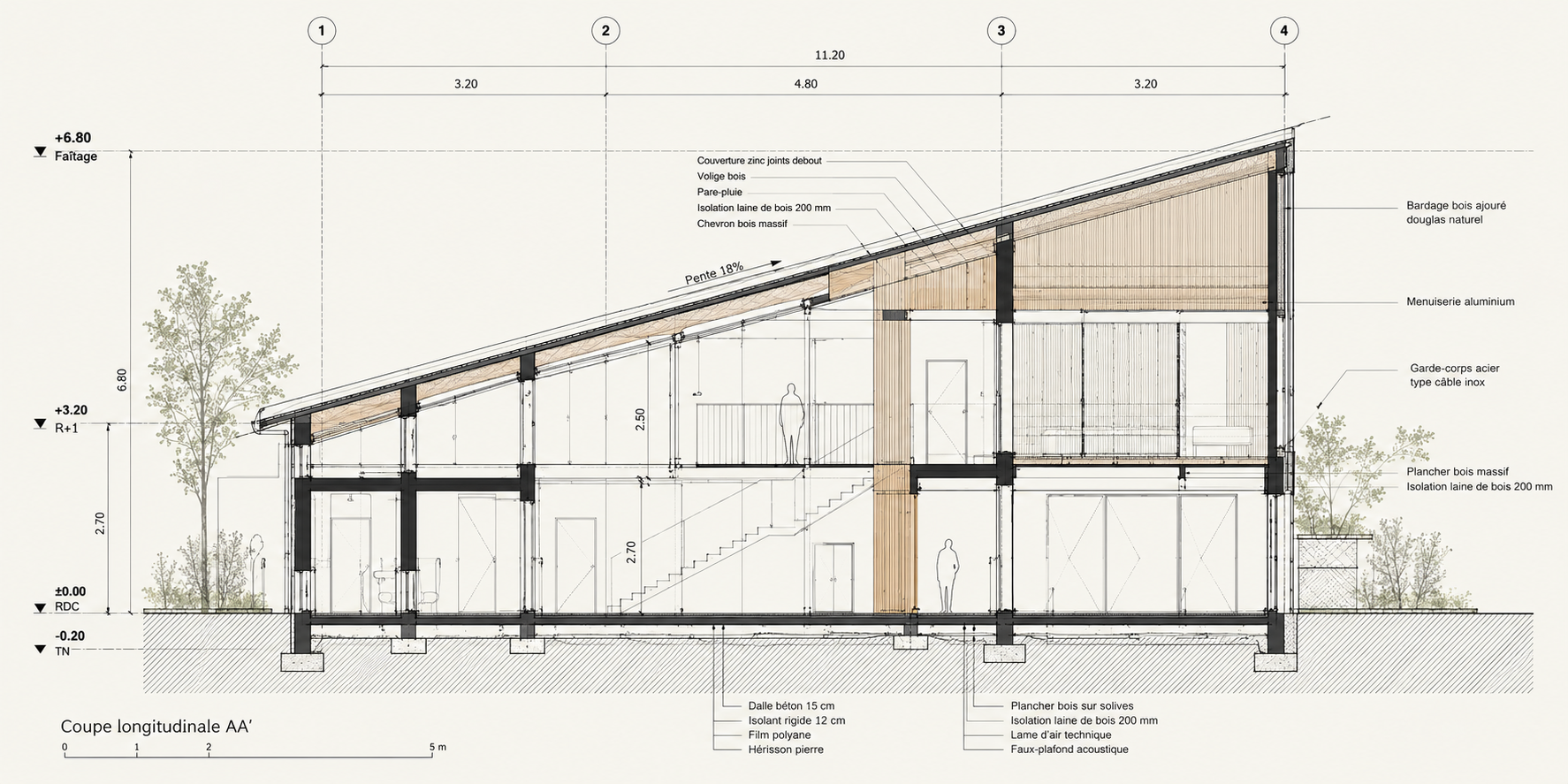 Coupe architecturale générée pour la mise en page
